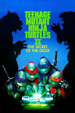 The Turtles and the Shredder battle once again, this time for the last cannister of the ooze that created the Turtles, which Shredder wants to create an army of new mutants.