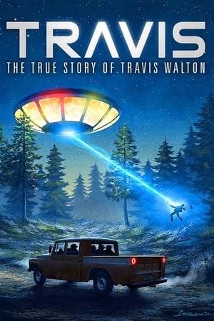 One of the most significant UFO events in history -- Travis Walton's 1975 UFO experience comes alive in this 90-minute documentary. His trauma and transition after a mysterious beam of light strikes him unconscious.