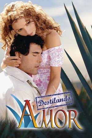 Destilando Amor is a 2007 Mexican telenovela produced by Televisa and Nicandro Díaz. It stars Angélica Rivera and Eduardo Yáñez as the main protagonists and was set primarily in Tequila, Jalisco. It is a remake of the 1994 Colombian telenovela Café, con aroma de mujer, and was nominated for twelve Premios TVyNovelas of which it won ten including Best Telenovela of the Year.