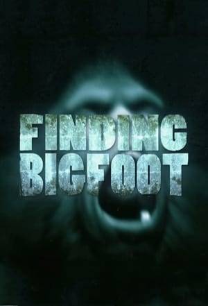From small towns in the South to remote areas of the Pacific Northwest and Alaska, four eccentric but passionate members of the Bigfoot Field Research Organization (BFRO) embark on one single-minded mission - to find the elusive "creature" known as Bigfoot or the Sasquatch.