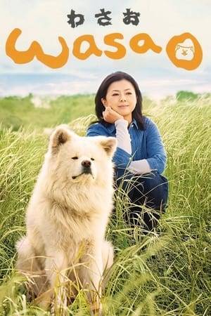 Wasao, an Akita dog in Aomori Prefecture that became famous as an ugly-yet-cute dog from a traveller's blog. Heartwarming drama starring Wasao himself turns part of the life of this former stray into an original story. Setsuko, who runs a grilled-squid shop in a fishing village at the foot of the Shirakami mountains, decides to take in a large dog with a long, unruly fur that has shown up in town. She names the dog Wasao and showers it with affection, but Wasao at that time doesn't take to Setsuko.