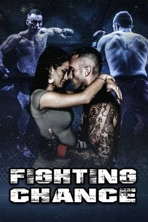A small town MMA fighter who has worked his entire life for a shot at the title must overcome extraordinary trials if he's ever going to achieve his dreams and find his true purpose in life.
