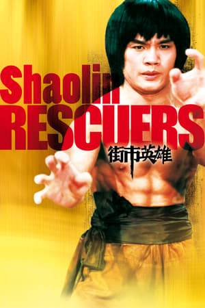 Two friends who long to be heroes join the fight against a Ching warlord and his students. They get help from a Kung Fu student and a rebel. They also save Hung Si Quan's life.