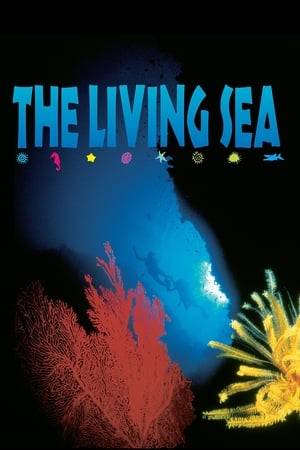 The Living Sea celebrates the beauty and power of the ocean as it explores our relationship with this complex and fragile environment. Using beautiful images of unspoiled healthy waters, The Living Sea offers hope for recovery engendered by productive scientific efforts. Oceanographers studying humpback whales, jellyfish, and deep-sea life show us that the more we understand the ocean and its inhabitants, the more we will know how to protect them. The film also highlights the Central Pacific islands of Palau, one of the most spectacular underwater habitats in the world, to show the beauty and potential of a healthy ocean.