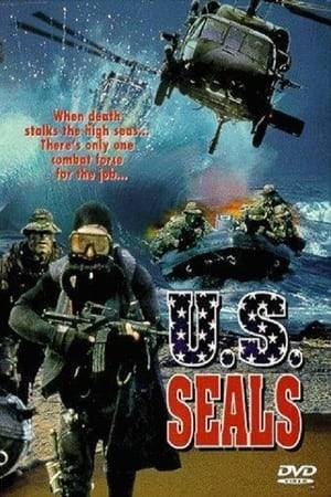 Dozens of American cargos with high valuable goods have disappeared, probably attacked by modern pirates. The United States decide to mobilize a team of expert SWAT, with Mike Bradley as leader, sending them to destroy the pirates' base, namely a deserted oil rig near Turkey. But these are cleverly waiting for them.