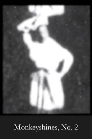 Experimental film that follows up on the results of "Monkeyshines, No. 1". Once again, an Edison company worker moves around in front of the motion picture camera.