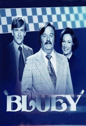 At Melbourne's Russell Street Police Headquarters, Sgt. "Bluey" Hills, unable to work within the existing police squads, oversees Department B. They're assigned cases other departments could not readily solve by conventional means, with Hills applying his unconventional methods to bring about their resolution. Bluey's investigations are supported by newly assigned Gary Dawson, long-time cohort Monica Rourke, and undercover officer Reg Truscott, who spends his time ostensibly working as a small-time burglar, and supplying Bluey with information on the activities of local criminals.