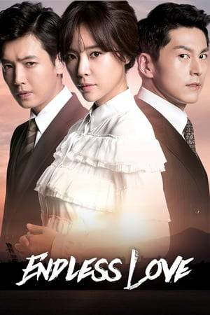 A period drama about Korean politics and financials situation in the 1970-1990s through the life of a woman. After a traumatic past of witnessed her mother's death, Seo In Ae grows up as ambitious woman with sharp mind who knows how to grab people's hearts, while still holding hope to avenge her mother someday. Since childhood, her life has been entangled with two opposite-personalities brothers from poor fisherman family, Han Kwang Hoon and Kwang Chul.
