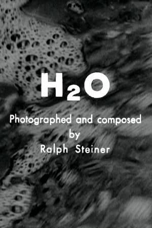 A cinematic tone poem, showcasing the dynamic nature of water through its various forms.