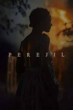 In 1937, near the border between the Dominican Republic and Haiti, a young Haitian woman named Marie is expecting her first child with Frank, her doting Dominican husband. After her mother's burial, she is awakened in the middle of the night by distant screams. The immediate execution of all Haitians on Dominican soil has been ordered — the so-called “Cut” — and what seals a victim’s fate is whether or not they can pronounce "perejil" (parsley). Marie takes off to find Frank in the next town over, with nothing but the clothes on her back.