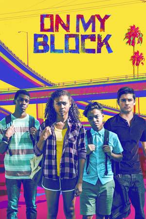 A coming of age comedy following a diverse group of teenage friends as they confront the challenges of growing up in gritty inner-city Los Angeles.
