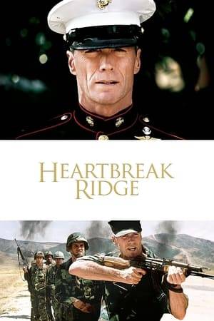 A hard-nosed, hard-living Marine gunnery sergeant clashes with his superiors and his ex-wife as he takes command of a spoiled recon platoon with a bad attitude.