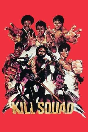 A wealthy business man is a victim of an assault and is shot and wheelchair bound while his wife is gang raped and murdered. He then assembles his motley squad of Vietnam buddies to kung fu their way to revenge and get those muthas back.