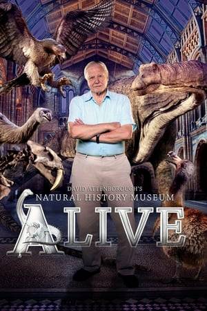 Regular opening times do not apply as we accompany Sir David Attenborough on an after-hours journey around London’s Natural History Museum, one of his favourite haunts. The museum's various exhibits come to life, including dinosaurs, reptiles and creatures from the ice age.