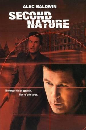 Everything is not as it seems for a man who recovers from a plane crash in which his family is killed. After plastic surgery and rehabilitation, he determines that he worked for a secret agency for which he was an assassin. His former boss puts him back to work to assassinate a political leader, but when he proves unable to pull the trigger, it is he who becomes the target for assassins. As he avoids capture, the story unfolds about his true past and the reason why he has a tattoo of "chilly willy" inside his lip.