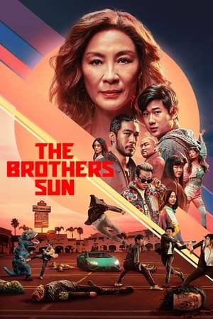 When a mysterious enemy targets his family, a Taipei triad member heads to Los Angeles to protect his strong-willed mother and oblivious younger brother.