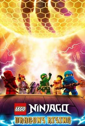 Two teenagers from different worlds use their newly discovered Ninja powers to defend dragons from villains who want to use their life-force for evil.