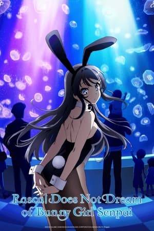 Puberty Syndrome—a rumored, mysterious syndrome that only affects those in their puberty. For example, a bunny girl suddenly appeared in front of Sakuta Azusagawa. The bunny girl's real identity is Mai Sakurajima, a teenage celebrity who is currently an inactive high school senior. For some reason, her charming figure does not reflect in the eyes of others. In the course of revealing the mystery behind this phenomenon, Sakuta begins to explore his feelings towards Mai. Set in a city where the skies and seas shine, Sakuta unfolds the meaning behind his bizarre encounters on women with the said syndrome.