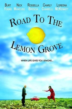 A deceased Sicilian father, has one last outrageous mission in store for his son - spread his ashes in the lemon groves of Sicily, reunite two feuding families, discovering the heart and soul of who he really is.