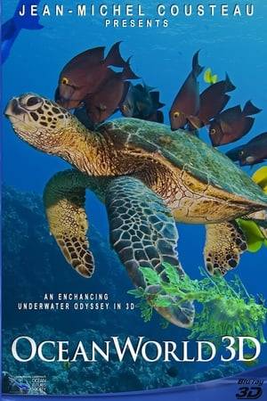 A 3-D documentary chronicling a sea turtle's journey across the oceans.