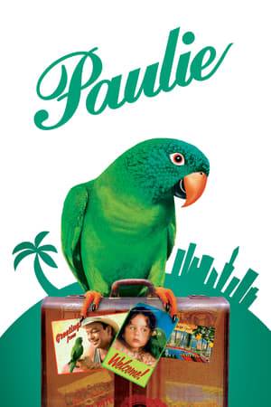 Paulie, a talking parrot, recounts his travels looking for his original owner to a Russian janitor who helps him to the end of his journey.