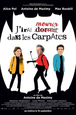 Antoine de Maximy disappeared in the Carpathian Mountains during the filming of J'irai dormir chez vous (2005) after a car accident . His editor, Agnès, tries to find him thanks to the pictures of his trip.