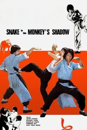 A young peasant boy who is bullied by local noblemen seeks to learn drunken boxing from the head of a local martial arts school. When the boy beats up his previous tormentors, the nobles patriarch challenges the boys teacher, the drunken master, who defeats the lot of them. Embarrased, the nobles retain two hired snake style killers. They kill everyone except the peasant boy.