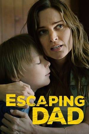 A woman goes on the run with her 2 children to escape an abusive husband, who is a very powerful and influential District Attorney.