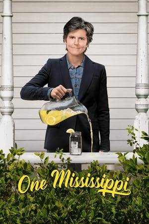 This semi-autobiographical dark comedy starring Tig Notaro follows her as she returns to her hometown after the sudden death of her mother. Still reeling from her own declining health problems, Tig struggles to find her footing with the loss of the one person in her life who understood her. All while dealing with her clingy girlfriend and her dysfunctional family.