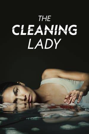 A whip-smart doctor comes to the U.S. for a medical treatment to save her ailing son. But when the system fails and pushes her into hiding, she refuses to be beaten down and marginalized. Instead, she becomes a cleaning lady for the mob and starts playing the game by her own rules.