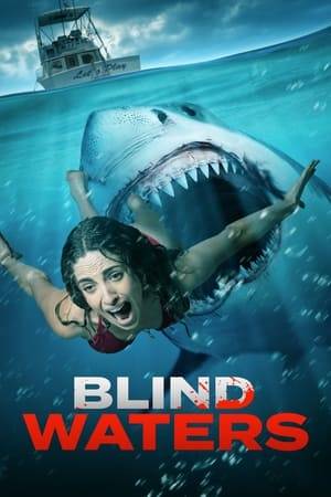 An unrelenting shark turns a couple's dream vacation into a nightmare when they are stranded at sea and forced to fight for their lives.