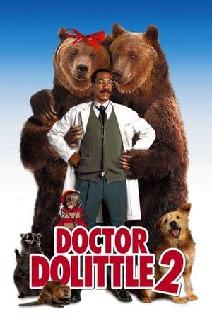 A group of beavers ask Dr. Dolittle to save their habitat from loggers. The only hope is to get the forest preserved because it's the home of a protected bear, but there's a problem: the bear's the only bear in the forest, so she can't reproduce. Undaunted, Dolittle persuades a circus bear to help out, but he has to teach him not just the ways of the wild, but the wiles of lady bears too.