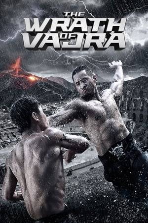 In the 1930s , a Japanese cult called The Temple of Hades was ordered to cooperate with the Japanese military to destroy China. They buy so many  young children from poor family , who will be trained as a lethal killing machine and serve the Empire of Japan. One of them is Vajra , who was forced by his captors to fight for the food , and accidentally causing the death of his brother. Several years later , Vajra grown up and become one of the biggest killer in the Hades sect. Vajra escapes to China and joins Shaolin , where he receives spiritual enlightenment and determined to support China against Japan.