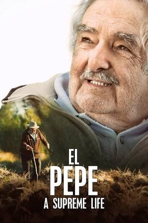 A documentary on the life of Uruguayan politician and former guerrilla fighter José Mujica.