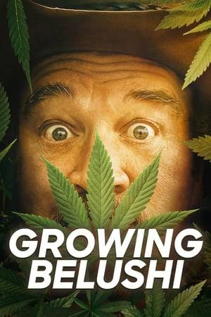 Actor and comedian Jim Belushi embarks on a new career as a legal cannabis farmer. Viewers get unprecedented access to Belushi’s marijuana farm in southern Oregon, as he builds a cannabis business from the ground up.