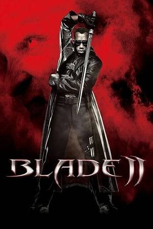 A rare mutation has occurred within the vampire community - The Reaper. A vampire so consumed with an insatiable bloodlust that they prey on vampires as well as humans, transforming victims who are unlucky enough to survive into Reapers themselves. Blade is asked by the Vampire Nation for his help in preventing a nightmare plague that would wipe out both humans and vampires.