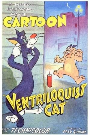 A cat learns the art of ventriloquism in order to play a series of practical jokes on a slow-witted bulldog...