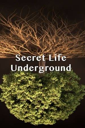 The underground world is a largely unexplored universe. Find out what goes on in the subterranean world of our planet Earth.