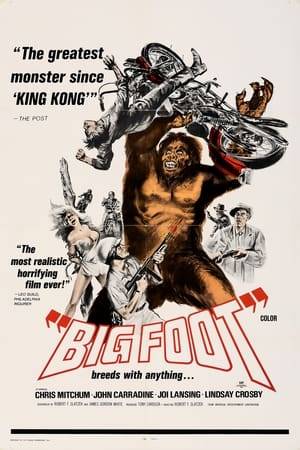 Bigfoot kidnaps some women and some bikers decide to go on a rescue mission to save them.