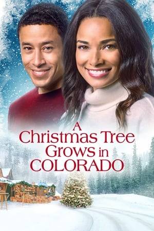 Erin is planning the town’s Christmas celebration and must win over firefighter Kevin in order to obtain the beautiful spruce tree from his property for the celebration.