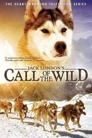 Call of the Wild is an adventure television series based on the best-selling novel of the same title by author Jack London. It was shown on Animal Planet. The thirteen episodes of Call of the Wild would later be released on DVD into 120 minute full length movie.