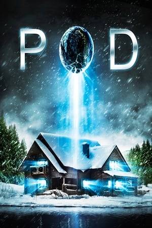 A family intervention goes horrifically awry within the snowy confines of an isolated lake house.