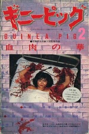 Late at night, a woman is kidnapped by an unknown assailant and taken back to his blood-spattered dungeon, where he turns her into a "flower of blood and flesh" through a series of dismemberment and evisceration.