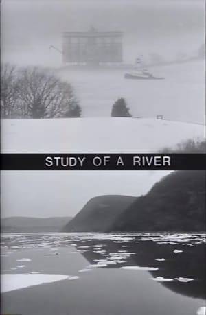 The first part (winter) of a seasonal study of the Hudson river in New York.