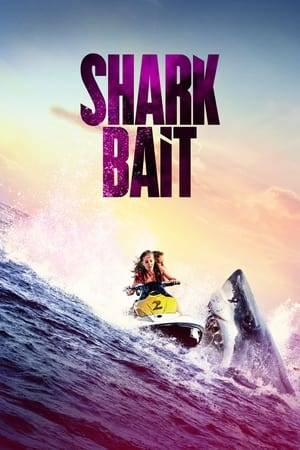 A group of friends enjoying a weekend steal a couple of jetskis racing them out to sea, ending up in a horrific head-on collision. They struggle to find a way home with a badly injured friend while from the waters below predators lurk.