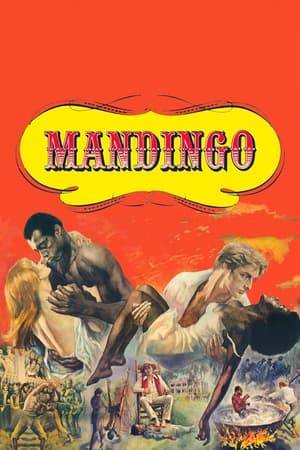Warren Maxwell, the owner of a run-down plantation, pressures his son, Hammond, to marry and produce an heir to inherit the plantation. Hammond settles on his own cousin, Blanche, but purchases a sex slave when he returns from the honeymoon. He also buys his father a new Mandingo slave named Mede to breed and train as a prize-fighter.