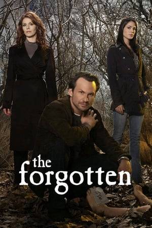 A team of dedicated amateurs work on cases involving unidentified victims. After the police have given up, this group must first solve the puzzle of the victim's identity in order to then help catch the killer. They work to give the deceased back their names, lest they become—The Forgotten.