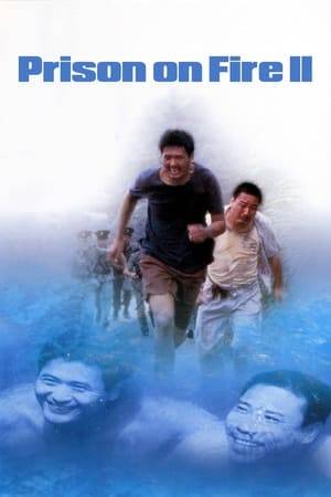 Ching is a prisoner in a Hong Kong jail that has a large population of Mainland Chinese prisoners. Ching escapes to see his young son, who he has been put in an orphanage. He surrenders himself to authorities, but the vengeful chief of security, Zau, arranges for Ching to be set up in the eyes of the Mainland gang.