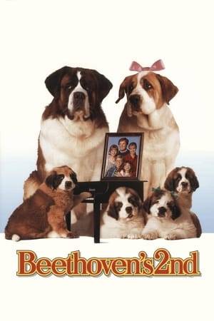 Beethoven is back -- and this time, he has a whole brood with him now that he's met his canine match, Missy, and fathered a family. The only problem is that Missy's owner, Regina, wants to sell the puppies and tear the clan apart. It's up to Beethoven and the Newton kids to save the day and keep everyone together.