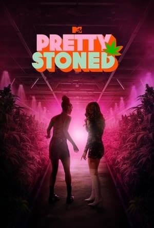 A total stoner with no commitment to her job and a type-A high-achiever join forces when they find themselves in trouble after one of them disposes of $20,000 worth of pot from a drug queenpin and her henchwomen.